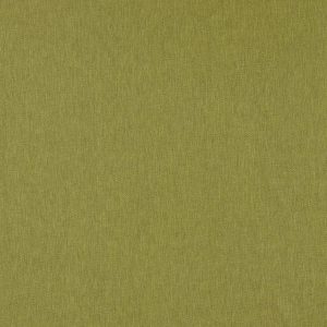 green plain woven fabric from Studio G