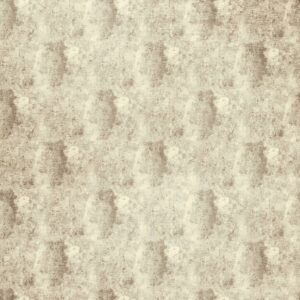 neutral misc velvet-chenille fabric from Clarke & Clarke