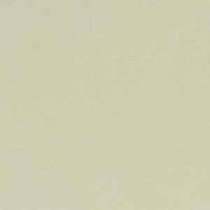 green plain cotton fabric from Studio G